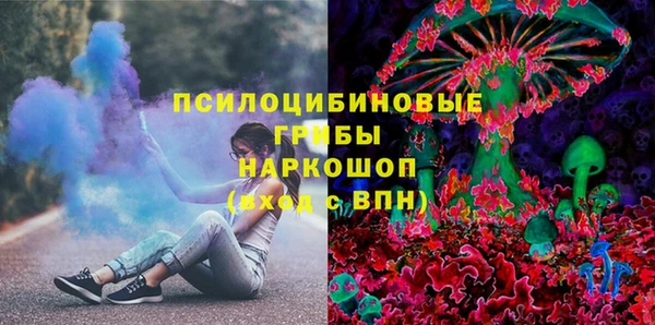 твердый Дмитриев