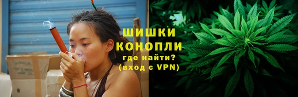 твердый Дмитриев