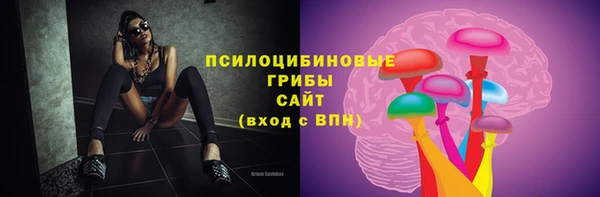 гидропоника Дмитровск
