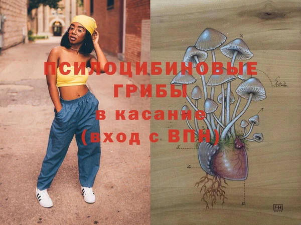 гидропоника Дмитровск