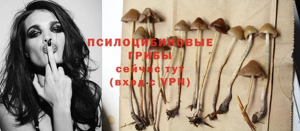 твердый Дмитриев