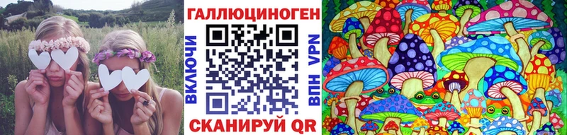 Галлюциногенные грибы GOLDEN TEACHER  Купить где  Макаров 